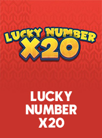 Lucky Number X20 game cover